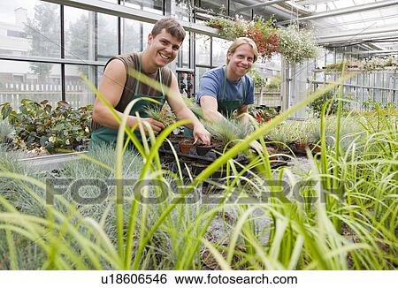 two men caring for plants View Large Photo Image Stock Photograph - two men caring for plants. Fotosearch