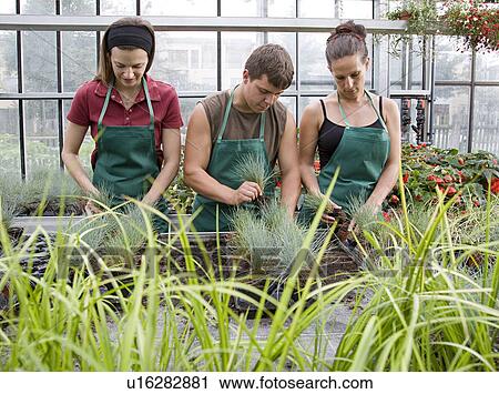Stock Image - two women, man caring for plants. Fotosearch