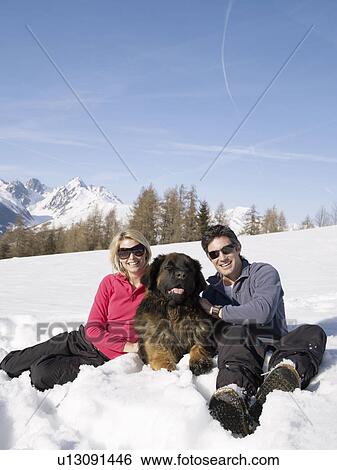 woman and man in snow with big dog View Large Photo Image Stock Photograph - woman and man in snow with big dog. Fotosearch