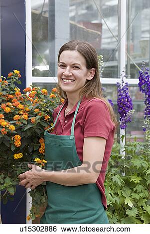 woman caring for plant View Large Photo Image Stock Photograph - woman caring for plant. Fotosearch