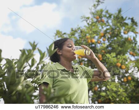 Woman Drinking Juice In Orange Grove View Large Photo Image Stock Photograph - Woman Drinking Juice In Orange Grove. Fotosearch