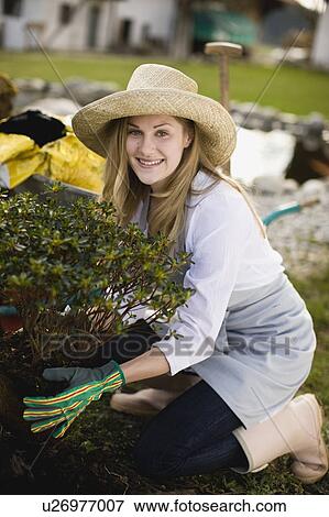 Stock Photo - woman gardening. Fotosearch