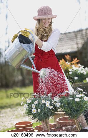 woman gardening View Large Photo Image Stock Photograph - woman gardening. Fotosearch