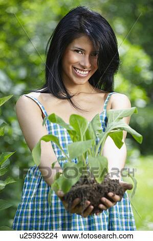 Woman holding a flower pot View Large Photo Image Picture - Woman holding a flower pot. Fotosearch