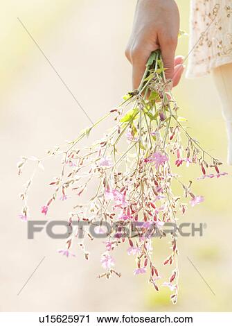 Stock Image - Woman holding bunch of flowers. Fotosearch