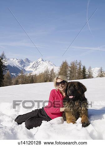 Stock Photo - woman in snow with big dog. Fotosearch