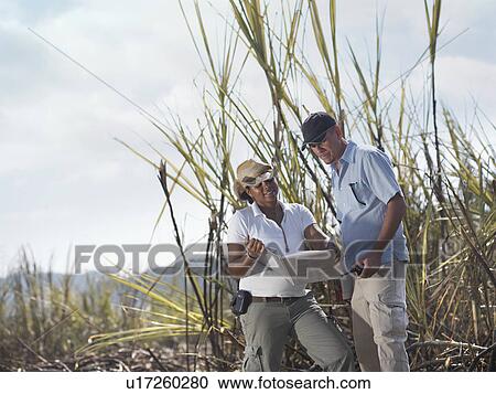Stock Image - Woman & Man With Clipboard In Sugar Cane. Fotosearch