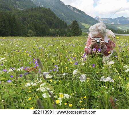 Woman photographing field of flowers View Large Photo Image Stock Image - Woman photographing field of flowers. Fotosearch
