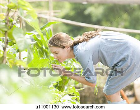 Stock Image - Woman smelling plants in country. Fotosearch