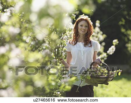 Stock Photograph - Woman With Apple Blossom In Orchard. Fotosearch