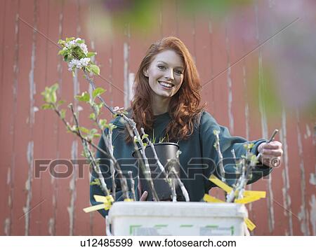 Woman With Apple Blossom Shoots View Large Photo Image Stock Photo - Woman With Apple Blossom Shoots. Fotosearch