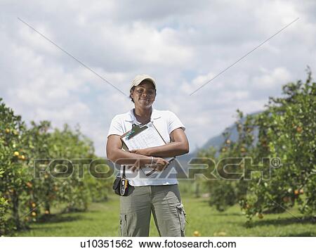 Stock Image - Woman With Clipboard In Orange Grove. Fotosearch