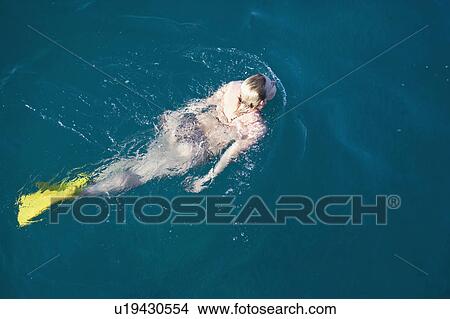 woman with flippers swimming View Large Photo Image Picture - woman with flippers swimming. Fotosearch