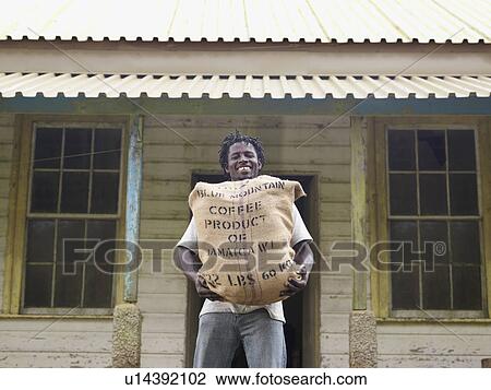 Worker Carrying A Sack Of Coffee Beans View Large Photo Image Stock Image - Worker Carrying A Sack Of Coffee Beans. Fotosearch