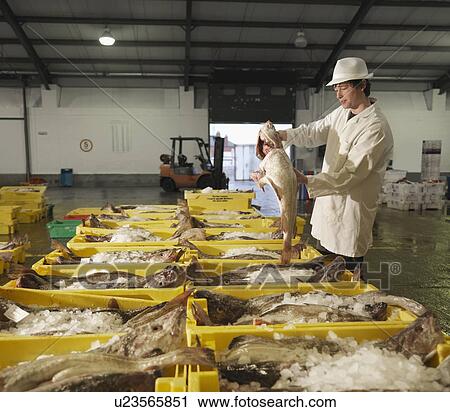 Stock Image - Worker Holding Fish In Market. Fotosearch