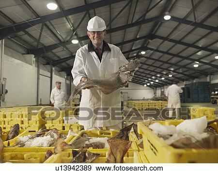 Stock Photo - Worker Holding Fish In Market. Fotosearch