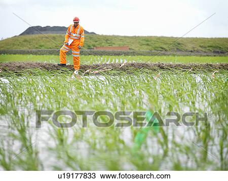 Stock Image - Worker Inspecting Water Purification Bed. Fotosearch