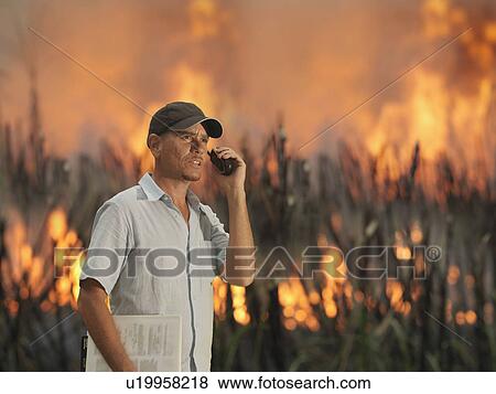 Worker With Burning Sugar Cane View Large Photo Image Stock Photo - Worker With Burning Sugar Cane. Fotosearch
