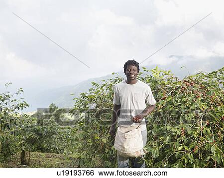 Stock Photograph - Worker With Coffee Beans. Fotosearch