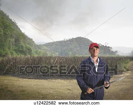 Stock Image - Worker With Machete And Burnt Sugar Cane. Fotosearch
