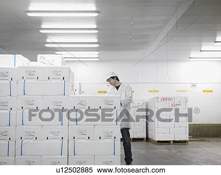 Worker With Packaged Fish In Market View Large Photo Image Stock Photography - Worker With Packaged Fish In Market. Fotosearch