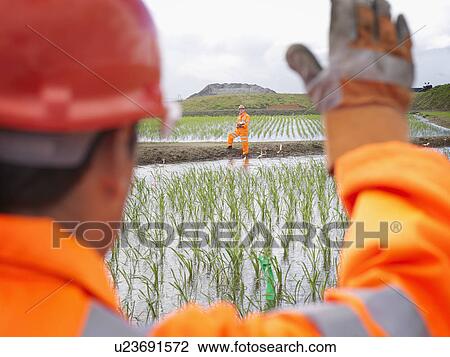 Stock Image - Workers In Water Purification Beds. Fotosearch