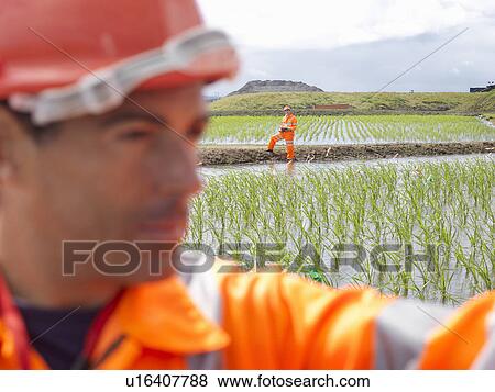 Workers In Water Purification Beds View Large Photo Image Stock Photo - Workers In Water Purification Beds. Fotosearch