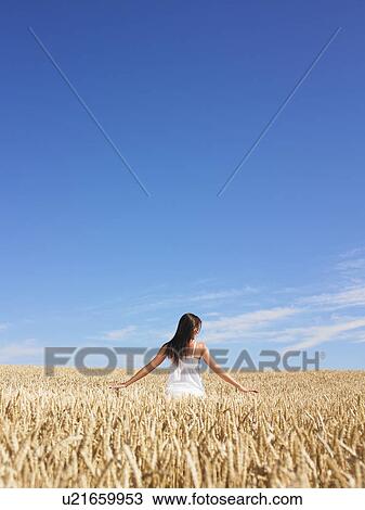 young woman in wheat field View Large Photo Image Stock Image - young woman in wheat field. Fotosearch