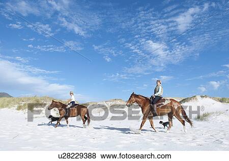 2 people riding horses on the beach View Large Photo Image Stock Photo - 2 people riding horses on the beach. Fotosearch