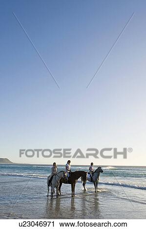 3 people riding horses on the beach View Large Photo Image Stock Image - 3 people riding horses on the beach. Fotosearch