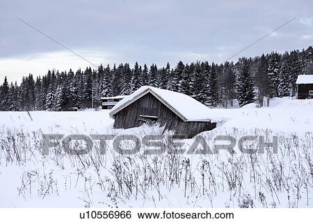 Abandoned old barn in snow covered field View Large Photo Image Stock Photograph - Abandoned old barn in snow covered field. Fotosearch