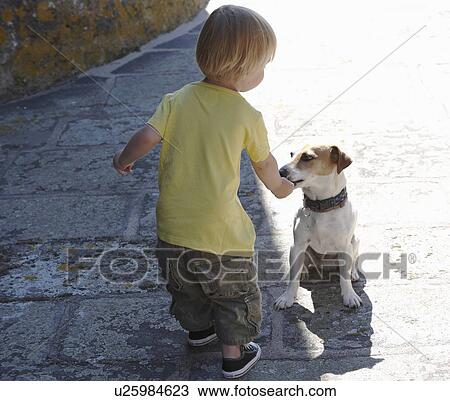 Baby boy playing with a dog View Large Photo Image Stock Image - Baby boy playing with a dog. Fotosearch