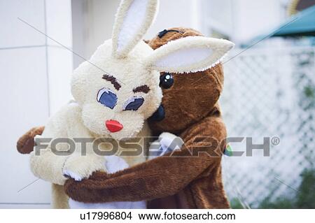 Bear embracing bunny View Large Photo Image Picture - Bear embracing bunny. Fotosearch