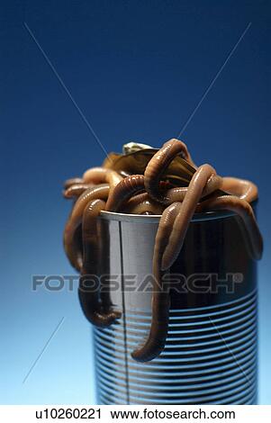 Stock Image - Can of worms. Fotosearch