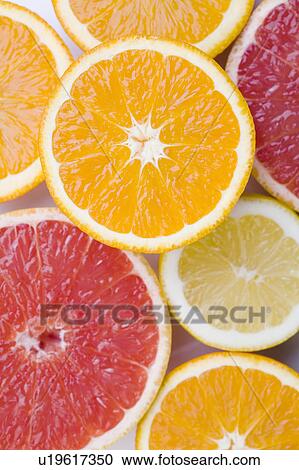 Citrus fruits View Large Photo Image Stock Image - Citrus fruits. Fotosearch
