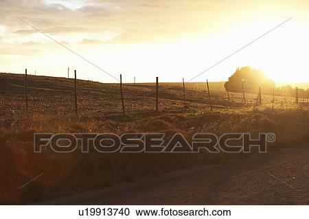 Stock Image - dirtroad at sunset with field. Fotosearch