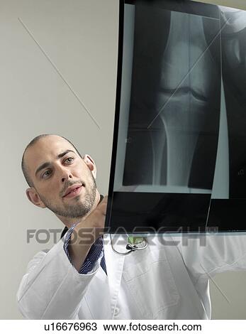 Doctor with x-ray View Large Photo Image Stock Image - Doctor with x-ray. Fotosearch