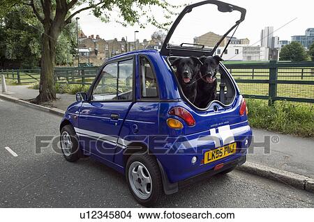 Dogs panting in boot of electric car View Large Photo Image Picture - Dogs panting in boot of electric car. Fotosearch