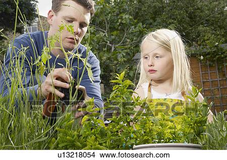 Picture - father and daughter gardening. Fotosearch