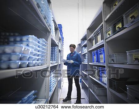 Female worker in storeroom View Large Photo Image Picture - Female worker in storeroom. Fotosearch