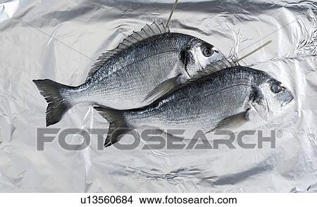 Picture - Fish laying on aluminum foil. Fotosearch