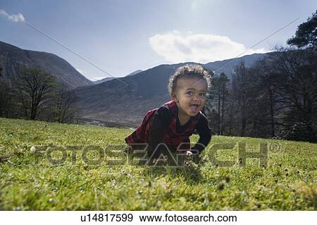 Stock Photo - Free to roam. Fotosearch