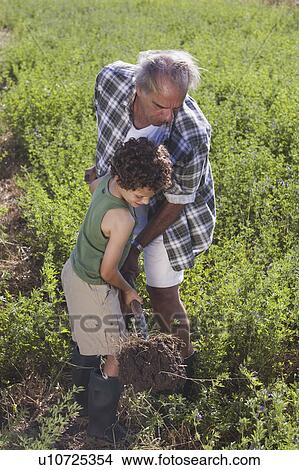 Grandfather and grandson digging View Large Photo Image Picture - Grandfather and grandson digging. Fotosearch