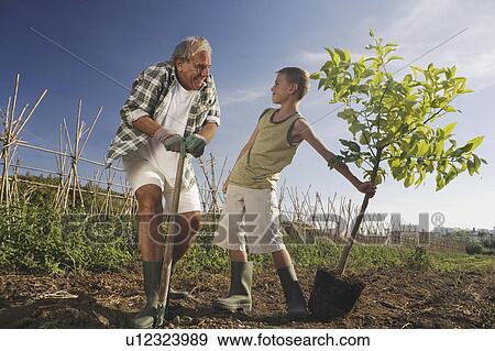 Stock Photo - Grandfather and grandson planting tree. Fotosearch