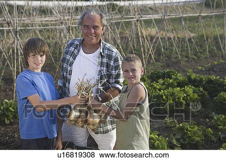 Grandfather and grandsons holding onions View Large Photo Image Stock Photo - Grandfather and grandsons holding onions. Fotosearch
