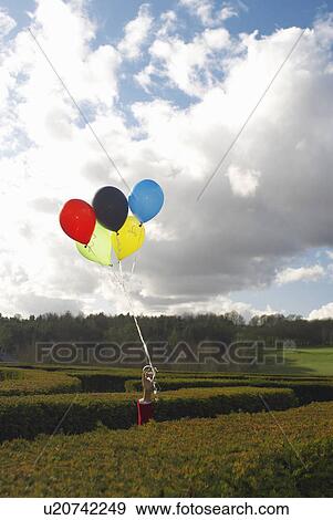Hand holding balloons in a maze View Large Photo Image Stock Photo - Hand holding balloons in a maze. Fotosearch