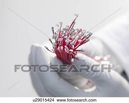 Picture - Hand holding cable ends. Fotosearch