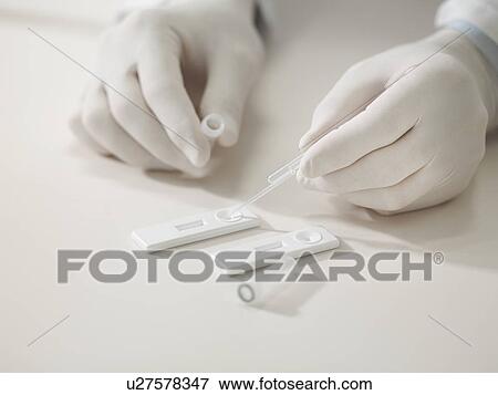 Hands of scientist testing sample View Large Photo Image Stock Photo - Hands of scientist testing sample. Fotosearch