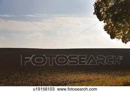 Stock Image - Hillside and tree over crop fields. Fotosearch