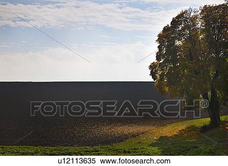 Hillside and tree over crop fields View Large Photo Image Stock Photography - Hillside and tree over crop fields. Fotosearch